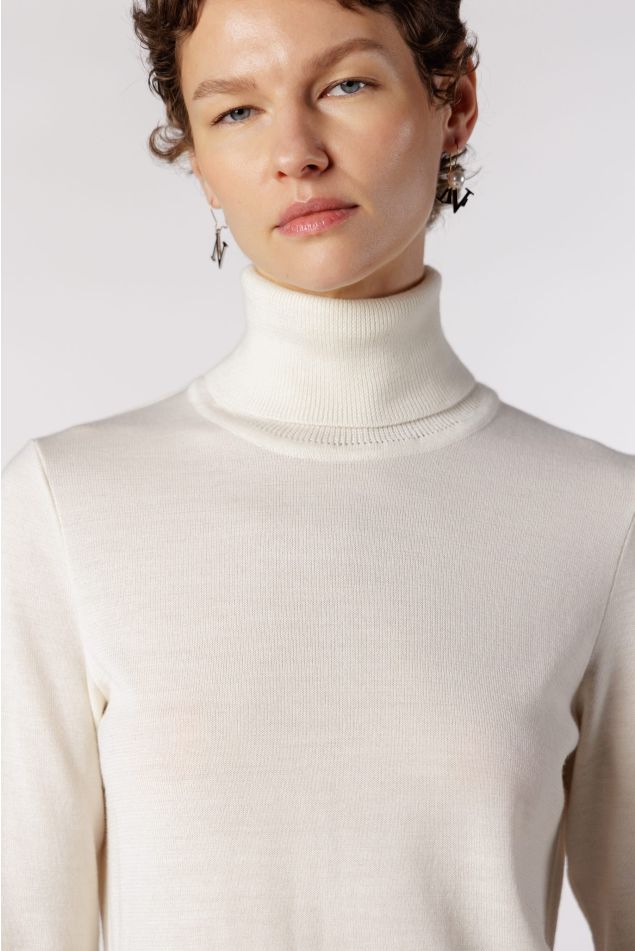 Plain Knit Turtleneck Sweater