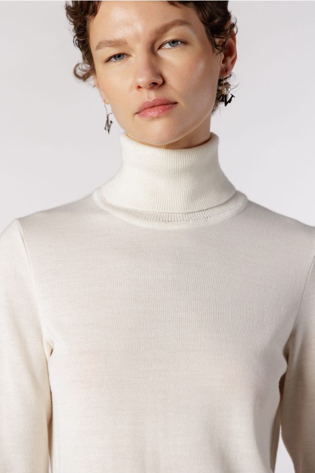 Plain Knit Turtleneck Sweater
