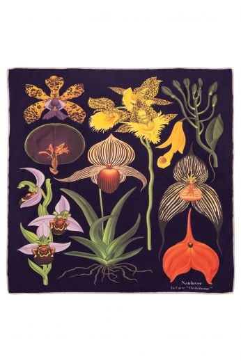 Orchidaceae' Carre